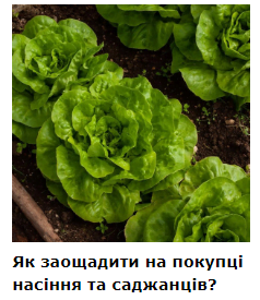 agronom.info - Агрономический портал — изображение 4
