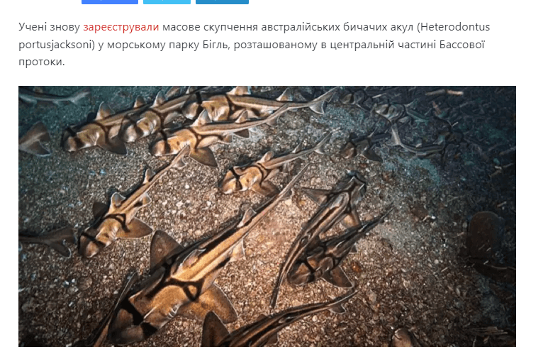 cikavosti.com - Цікавості - Зображення 4