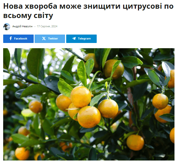 t4.com.ua - Т4 — изображение 2