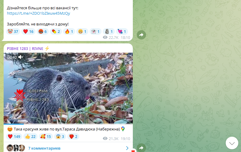 РІВНЕ 1283 | RIVNE — изображение 2